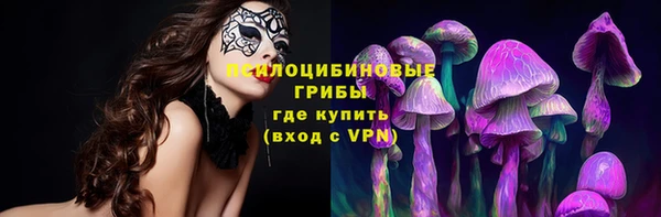 ALPHA PVP Беслан