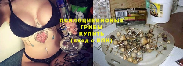 ECSTASY Билибино
