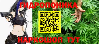 Альфа ПВП Гатчина