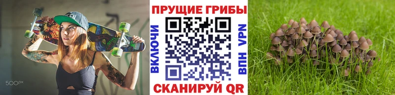 KRAKEN ссылка  купить  сайты  Златоуст  Псилоцибиновые грибы GOLDEN TEACHER 