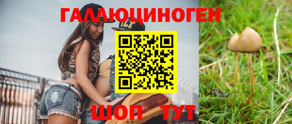 Псилоцибиновые грибы Cubensis  Галлюциногенные грибы Cubensis  Златоуст 