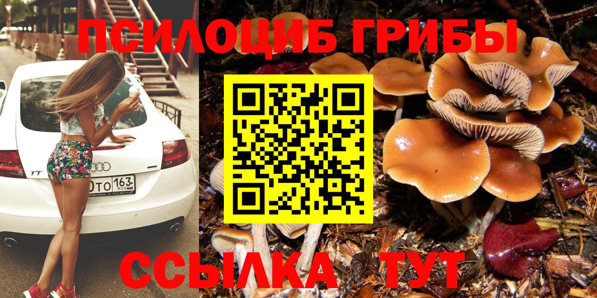 Псилоцибиновые грибы мицелий Златоуст