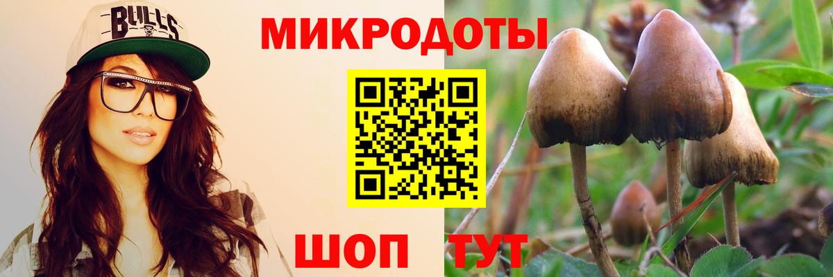 Псилоцибиновые грибы мицелий  Вход с VPN  купить  цена  Златоуст 